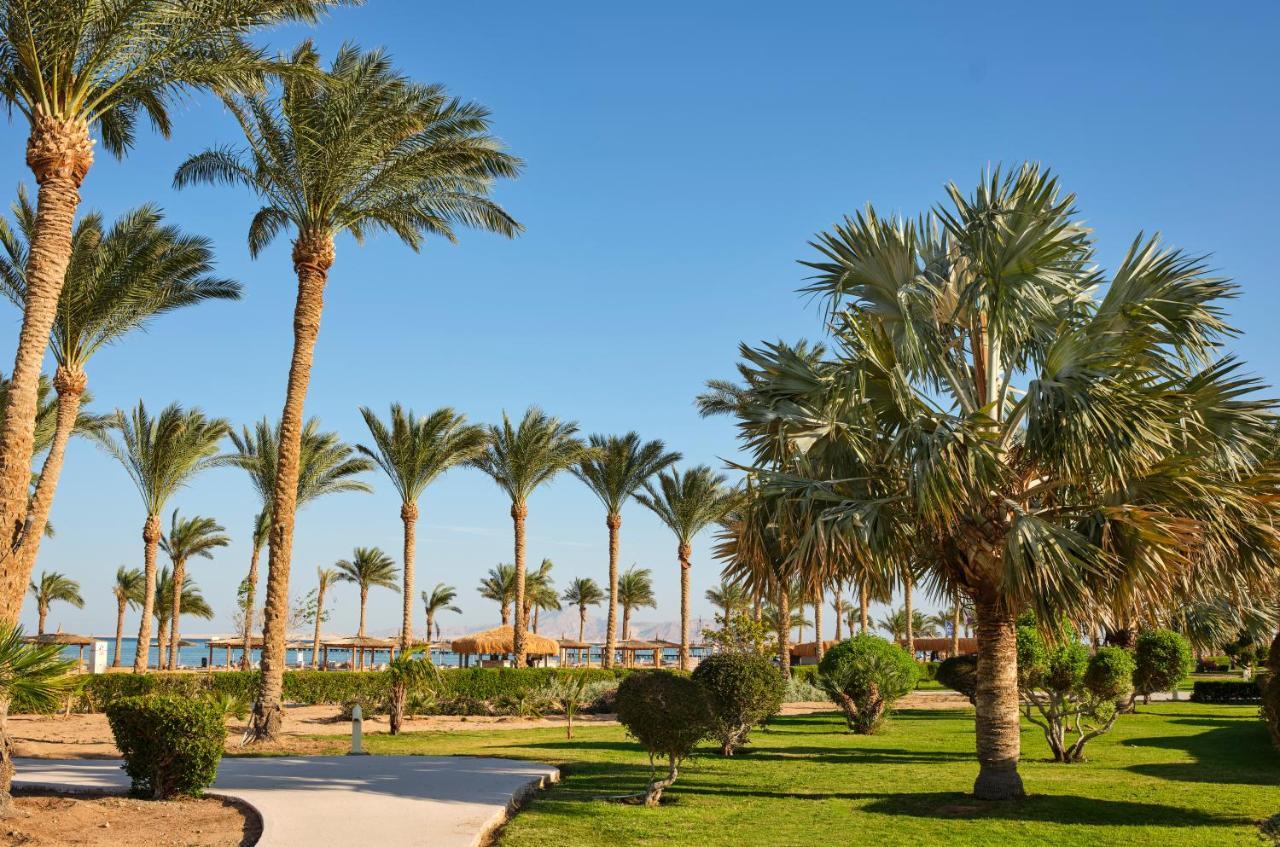 Отель Coral Sea Waterworld Sharm El Sheikh Экстерьер фото